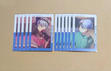 프로세카 아오야기 토우야 21A 에피카 비비버스