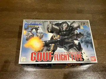 HG GOUF FLIGHT TYPE 건담 프라모델