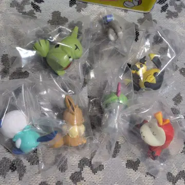 포켓몬 어깨 쿵 이브이 뜨아거 요가랑 미주마루 요가랑 등