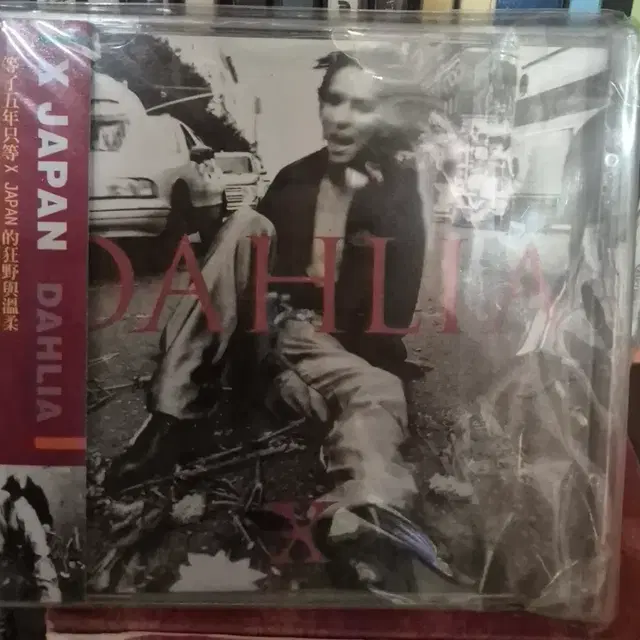 X Japan Dahlia 앨범 대만반