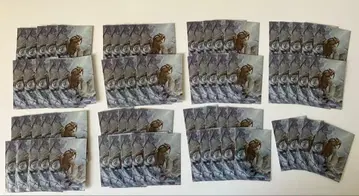 몬스터 헌터 베리오로스 슬리브 74장