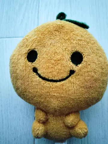 미캉보야 키링 오렌지 컬러