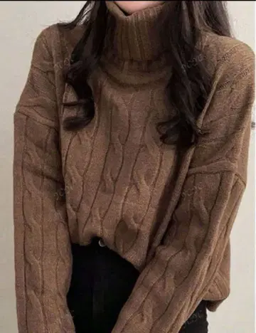 브라운 케이블 니트 터틀넥
