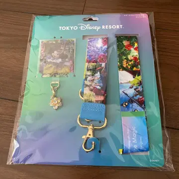 디즈니 판타지 스프링스 스마트폰 액세서리