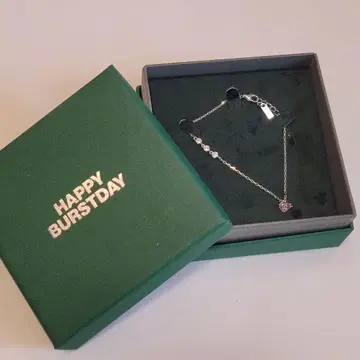 SEVENTEEN HAPPY BURSTDAY 사전녹화 10주년 팔찌