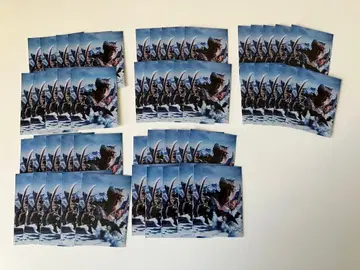 몬스터 헌터 티가렉스 CG 슬리브 50장