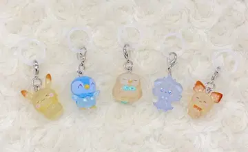 익명 배송 포켓피스 메지루시 참 전 5종 세트