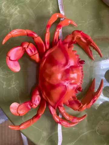 오렌지 게 모형