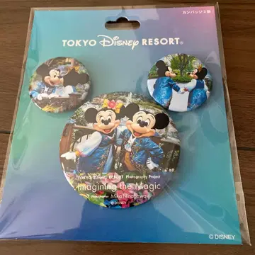 디즈니 이매지닝 더 매직 판타지 스프링스 캔뱃지