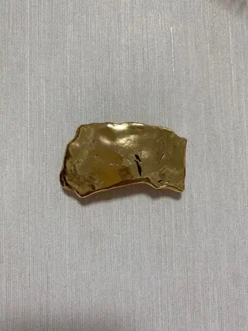 플뤼 블리스 데브리스 머리핀 골드