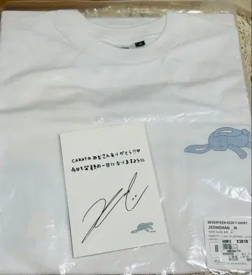 seventeen 세븐틴 세부치 정한 T셔츠