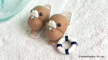 모니마루즈 랏코