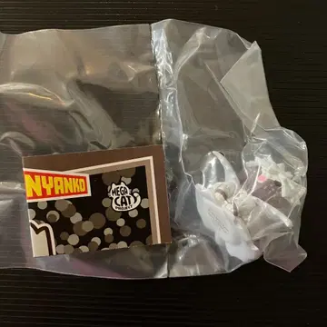 다비 히로아카 냥코