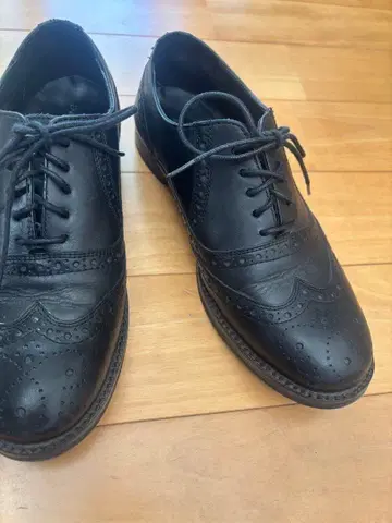 다니엘라 모리 (24) 가죽 신발 윙팁 레이스업 슈즈