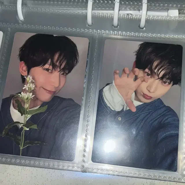 엔하이픈 YOI 앨범 솔로 재킷반 선우 포카