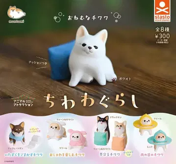 치와와 생활 전 8종 세트