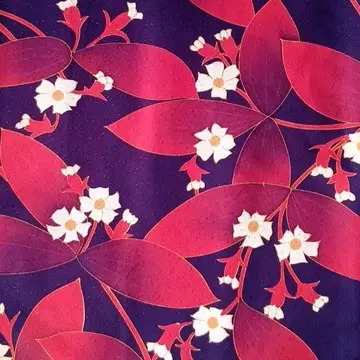 빨간 잎 겉옷 (레드 꽃)