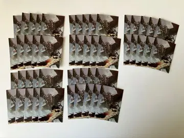 몬스터 헌터 리오레우스 CG 슬리브 50장