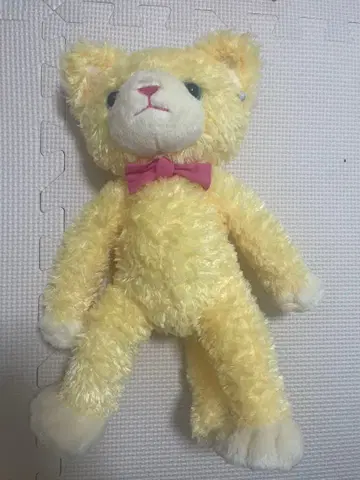 프린스캣 프리캐 로지 뼈 없음