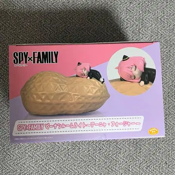 스파이 패밀리 룸 라이트