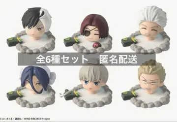 WIND BREAKER Like 트레이딩 피규어 전 종류 BOX