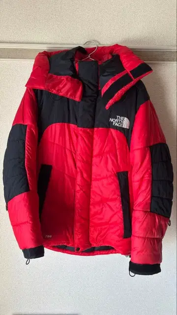 THE NORTH FACE 다운 자켓 빨검