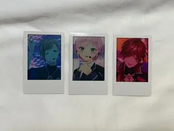 니지산지 가요제 TSN 폴라로이드