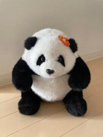 팬더(와카) 봉제 인형