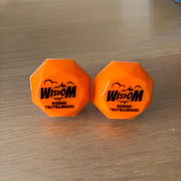 츠츠지모리 로쇼 반지 라이트 2점