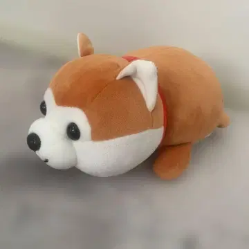 마메시바 복권 해피 마메시바 봉제 인형 브라운 시바견