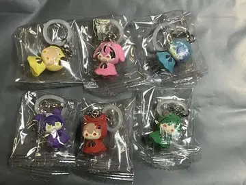 시쿠포니 메지루시 액세서리 컴프 9