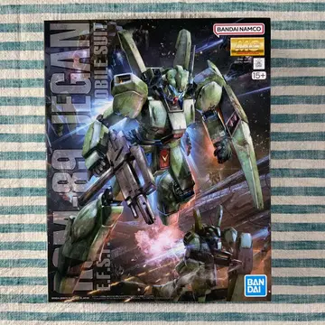 MG 건담 프라모델 [ MG 1/100 제간 ] 익명 배송