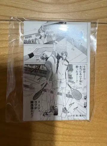 올 테니프리 뮤지엄 캔뱃지 테니스의 왕자님 아토베 케이고 테즈카 쿠니미츠