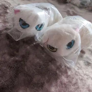 따르지 않는 고양이 봉제 인형