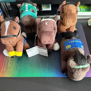 아이돌 호스 5체 세트