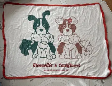 미도리이로샤카이 담요 브로콜리 콜리플라워 담요