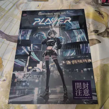 [ 코코 ] 라이브 팜플렛