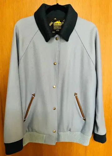 BANANA FISH 노이타미나 어패럴 아쉬 링크스 모델 블루종