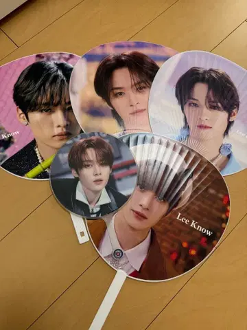 Stray Kids 부채 5장 세트
