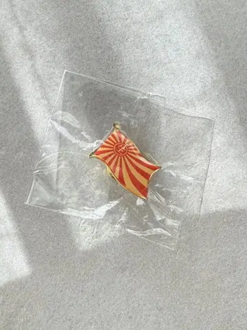 시이나 링고 (생) 링고 박람회 '08~10주년 기념제~ 핀 배지