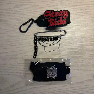 Stray Kids 업그레이드 굿즈 빅 핑