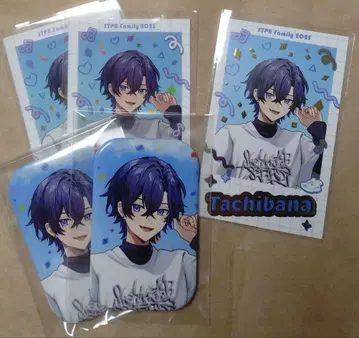 STPR Family 스니스테 타치바나 캔뱃지, 폴라로이드 레어