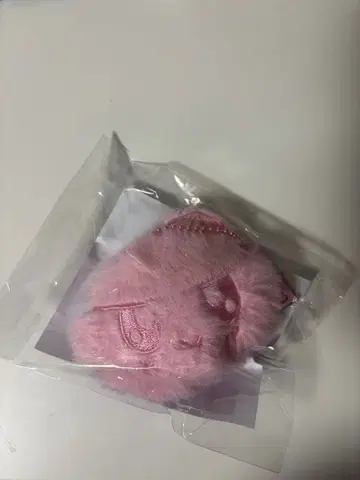 SEVENTEEN 봉봉이 로컬 키링 도쿄