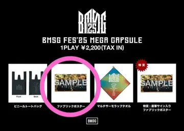 BMSG FES'25 메가 캡슐 패브릭 포스터