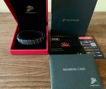 코어 포스 루프 블랙 70cm 목걸이