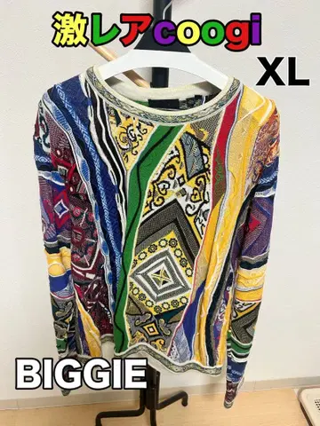 COOGI 인기 비기 모델