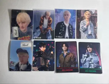 트라자 노에루 트레카세트