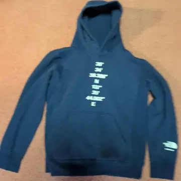 THE NORTH FACE TATEYAMA 후드티 네이비