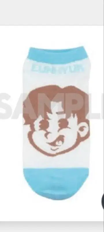 은혁 SUPER JUNIOR SUPER SHOW 10 양말