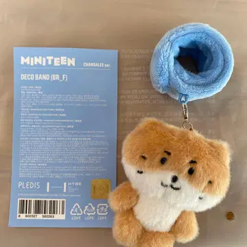 MINITEEN 찬다리 데코 밴딩